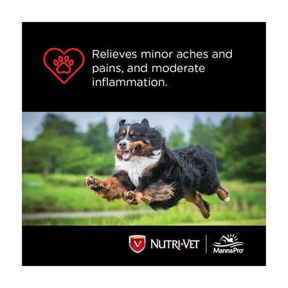 Aspirin for Dogs - Medium to Large Dogs - 300Mg - 75 Count