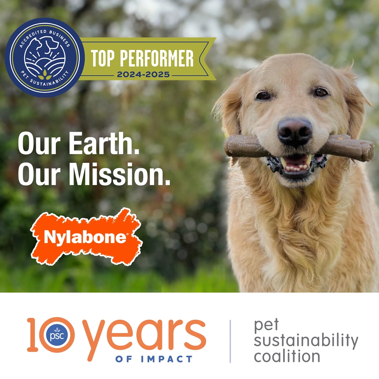 Power Chew Comfort-Hold Dog Dental Chew Toy Chicken Jerky Large (1 Count)