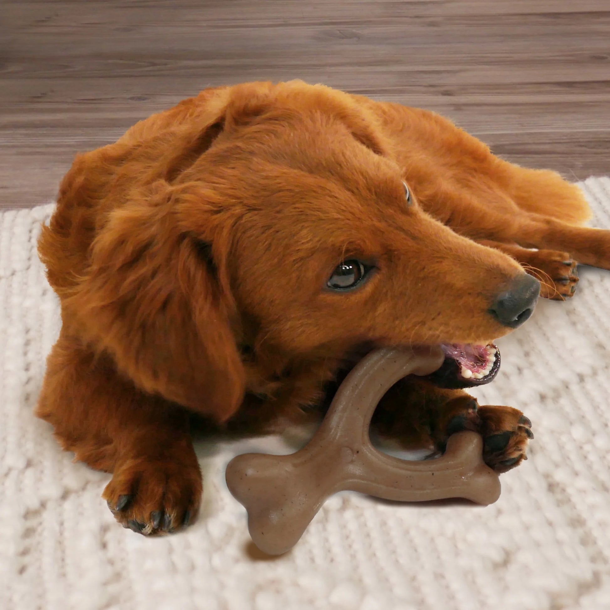 Gourmet Style Strong Wishbone Dog Chew Toy Peanut Butter Small/Regular - up to 25 Ibs.