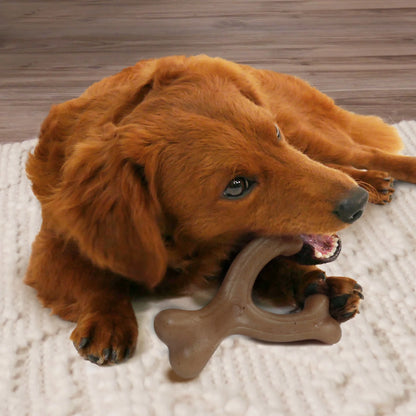 Gourmet Style Strong Wishbone Dog Chew Toy Peanut Butter Small/Regular - up to 25 Ibs.