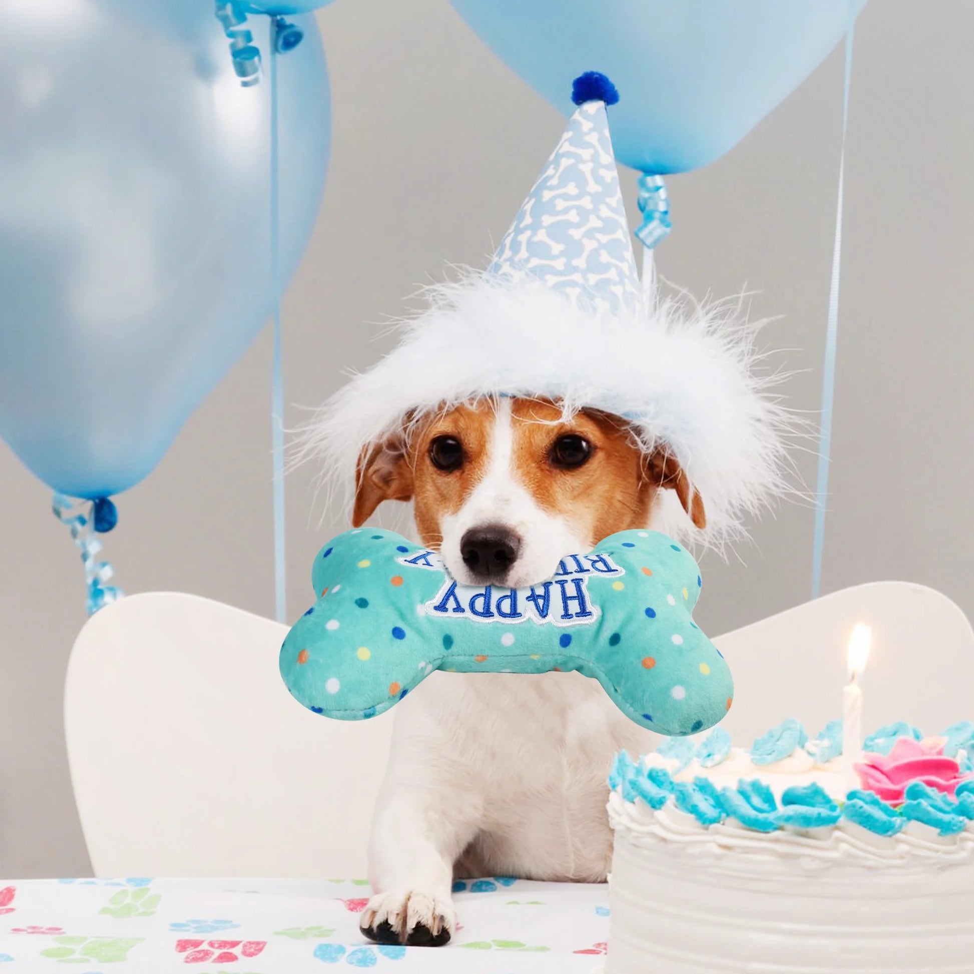 Dog Birthday Toys, Plush Dog Squeaky Toys, Dog Chew Toys Bone for Small Medium Large Dogs