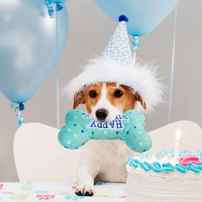Dog Birthday Toys, Plush Dog Squeaky Toys, Dog Chew Toys Bone for Small Medium Large Dogs