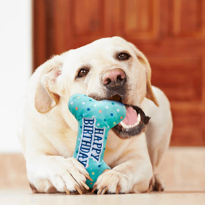 Dog Birthday Toys, Plush Dog Squeaky Toys, Dog Chew Toys Bone for Small Medium Large Dogs