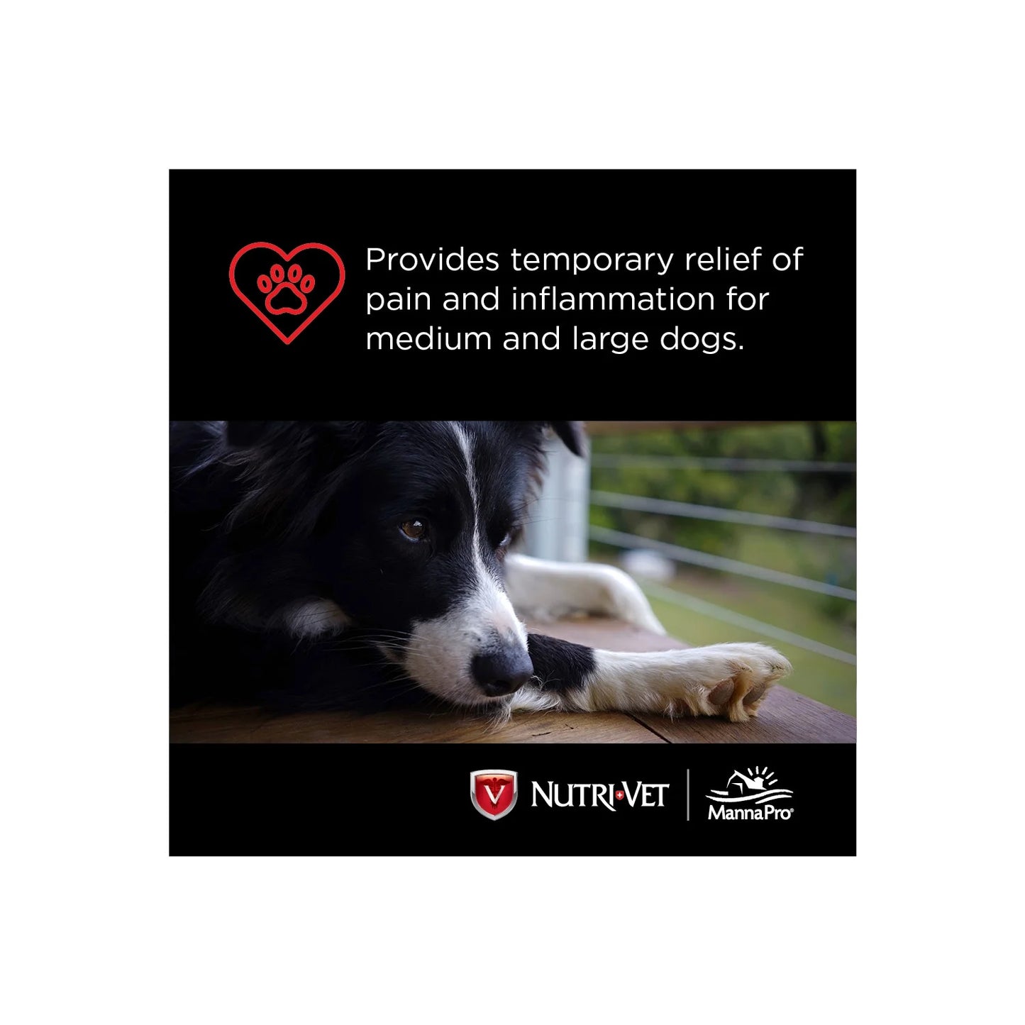 Aspirin for Dogs - Medium to Large Dogs - 300Mg - 75 Count