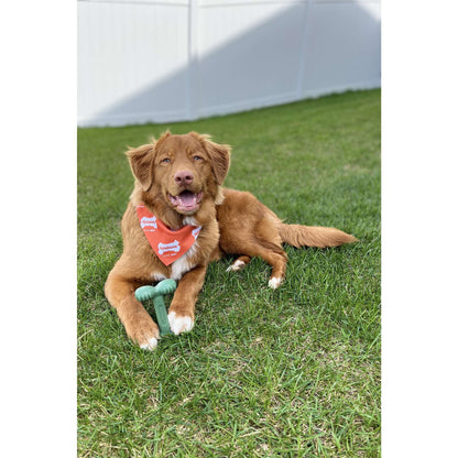 Power Chew Comfort-Hold Dog Dental Chew Toy Chicken Jerky Large (1 Count)