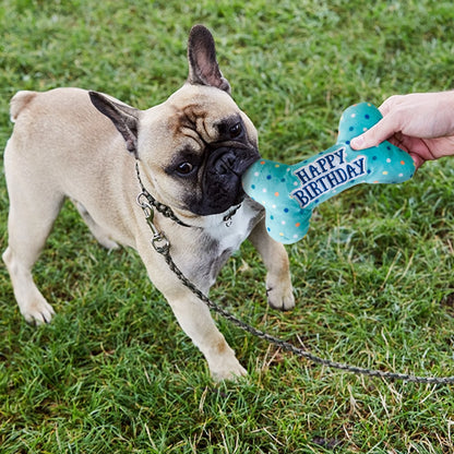 Dog Birthday Toys, Plush Dog Squeaky Toys, Dog Chew Toys Bone for Small Medium Large Dogs