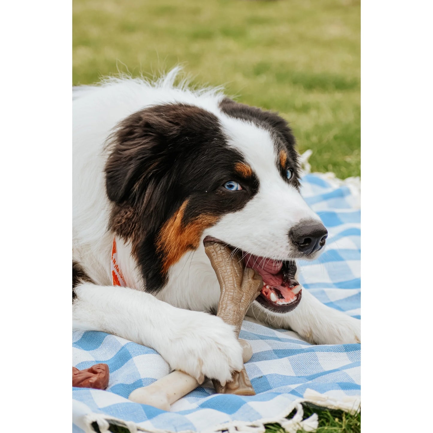 Gourmet Style Dog Chew Toy Stick Chicken X-Large (50+ Lbs)