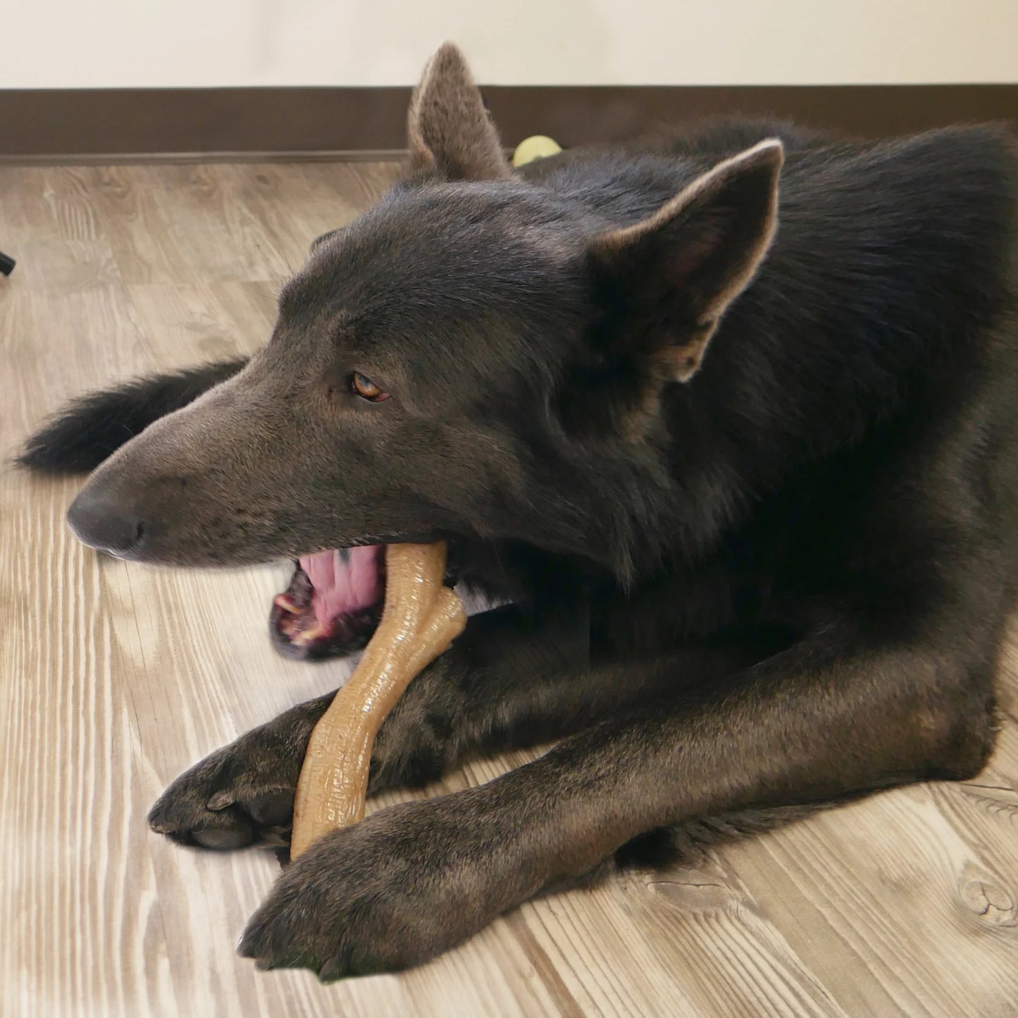 Gourmet Style Dog Chew Toy Stick Chicken X-Large (50+ Lbs)