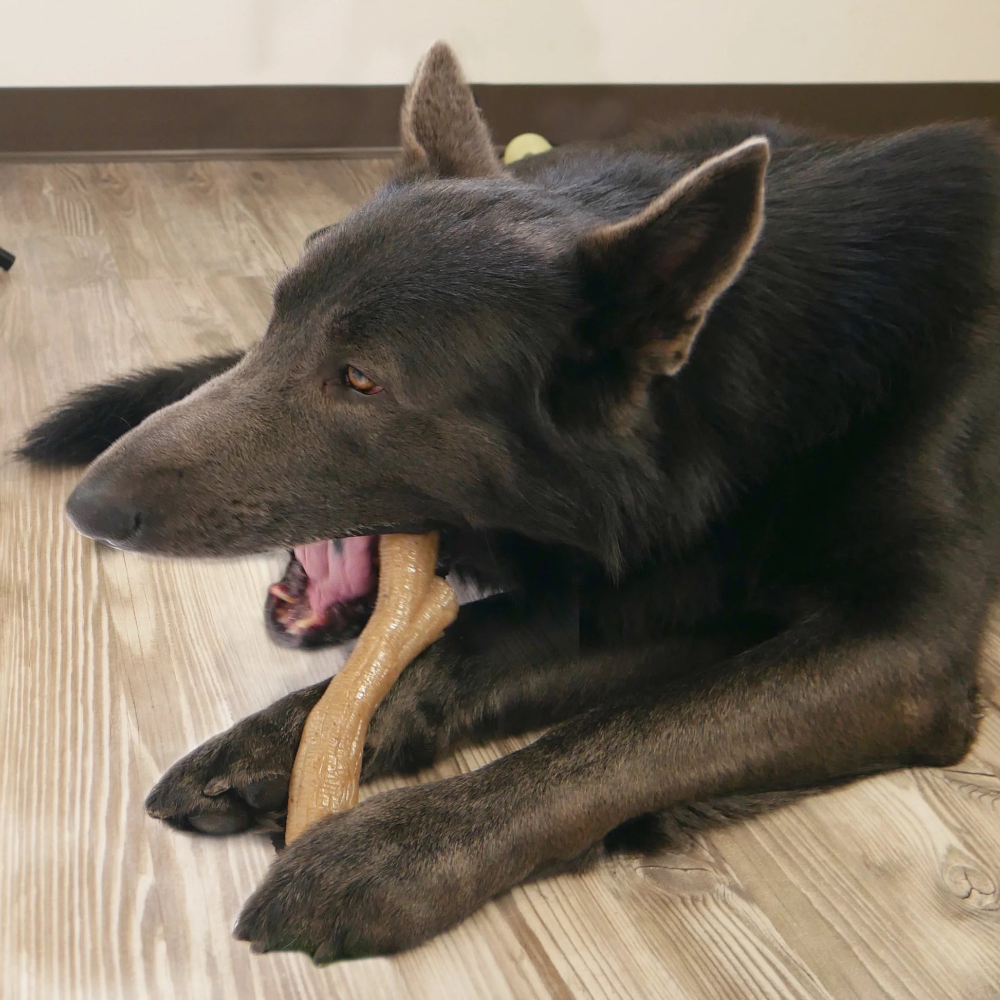 Gourmet Style Dog Chew Toy Stick Chicken X-Large (50+ Lbs)